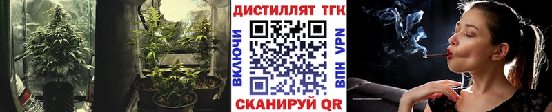 купить   блэк спрут маркетплейс  ТГК Wax  Павловск 