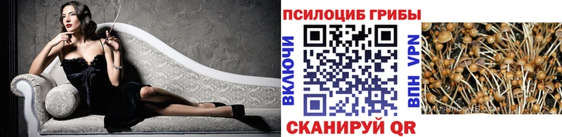 Галлюциногенные грибы мицелий  купить закладку  Павловск 
